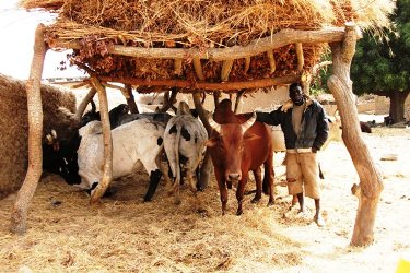 Article : D&eacute;velopper le milieu rural, une n&eacute;cessit&eacute;!