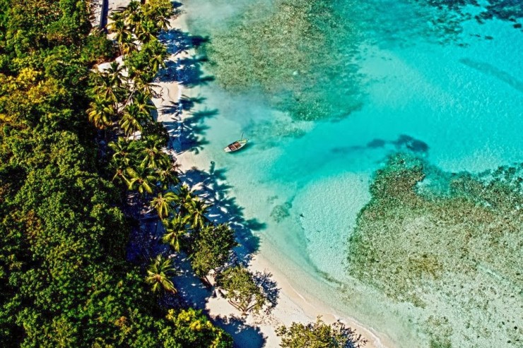 Article : Ile-&agrave;-Vache : un paradis assi&eacute;g&eacute;