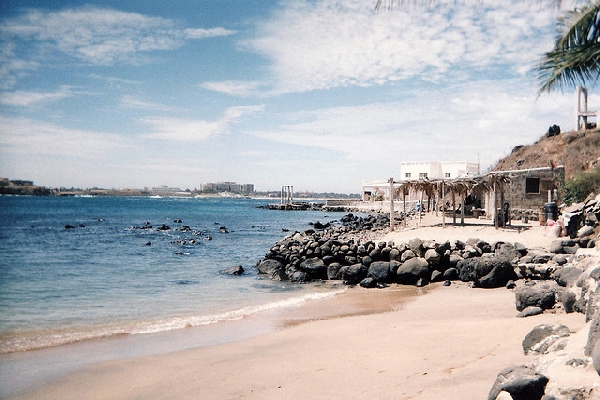 Article : A Gor&eacute;e, j&rsquo;ai coul&eacute; des larmes !