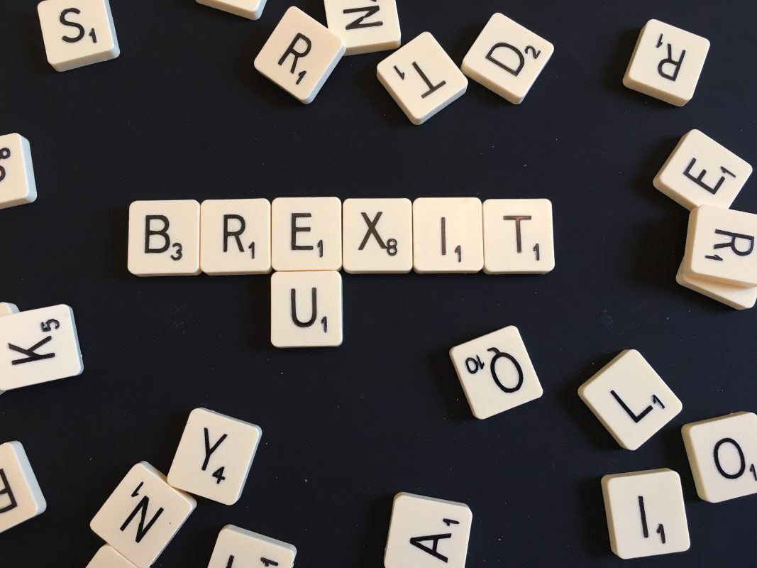 Article : Les p&eacute;pites de Mondoblog :  Brexit et autres luttes personnelles