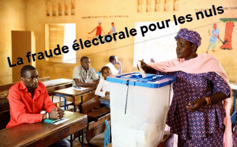 Article : La fraude &eacute;lectorale pour les nuls