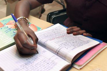 Article : Vers une ann&eacute;e scolaire blanche au Niger