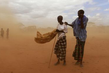Article : Tchad: La protection de l&rsquo;environnement est une lutte vou&eacute;e &agrave; l&rsquo;&eacute;chec.
