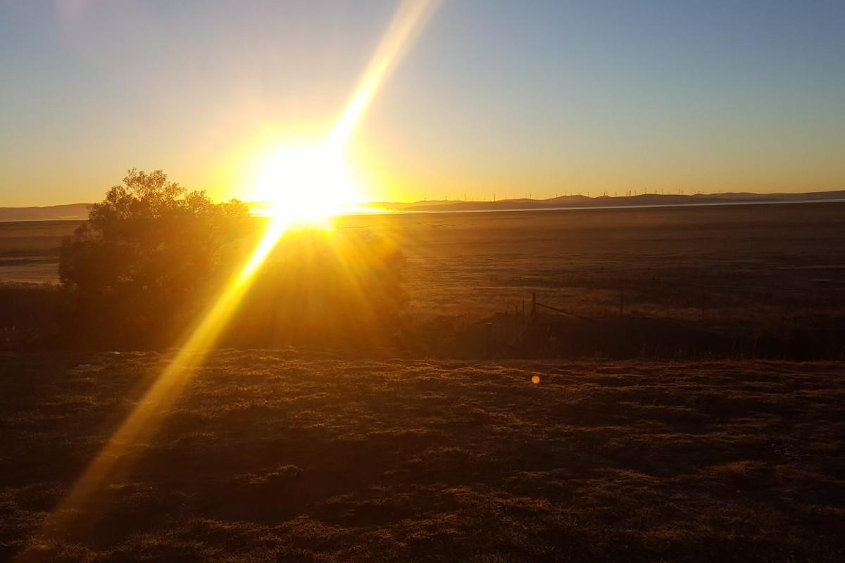Article : En Australie, voyage &agrave; Canberra en photos