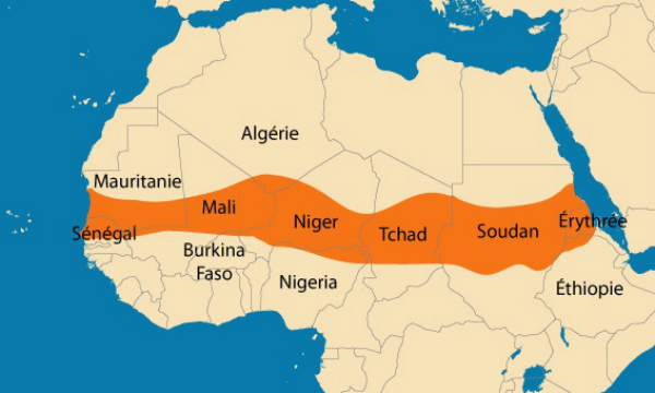 Article : A Abidjan, les experts au chevet d&rsquo;un malade nomm&eacute; Sahel