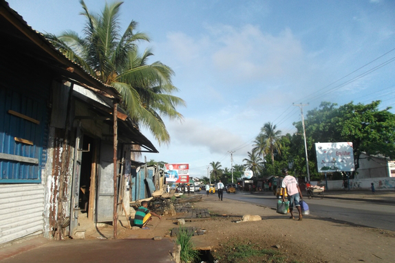Article : Malgr&eacute; la peste &agrave; Madagascar, j&rsquo;ai vu un seul rat en 10 jours !