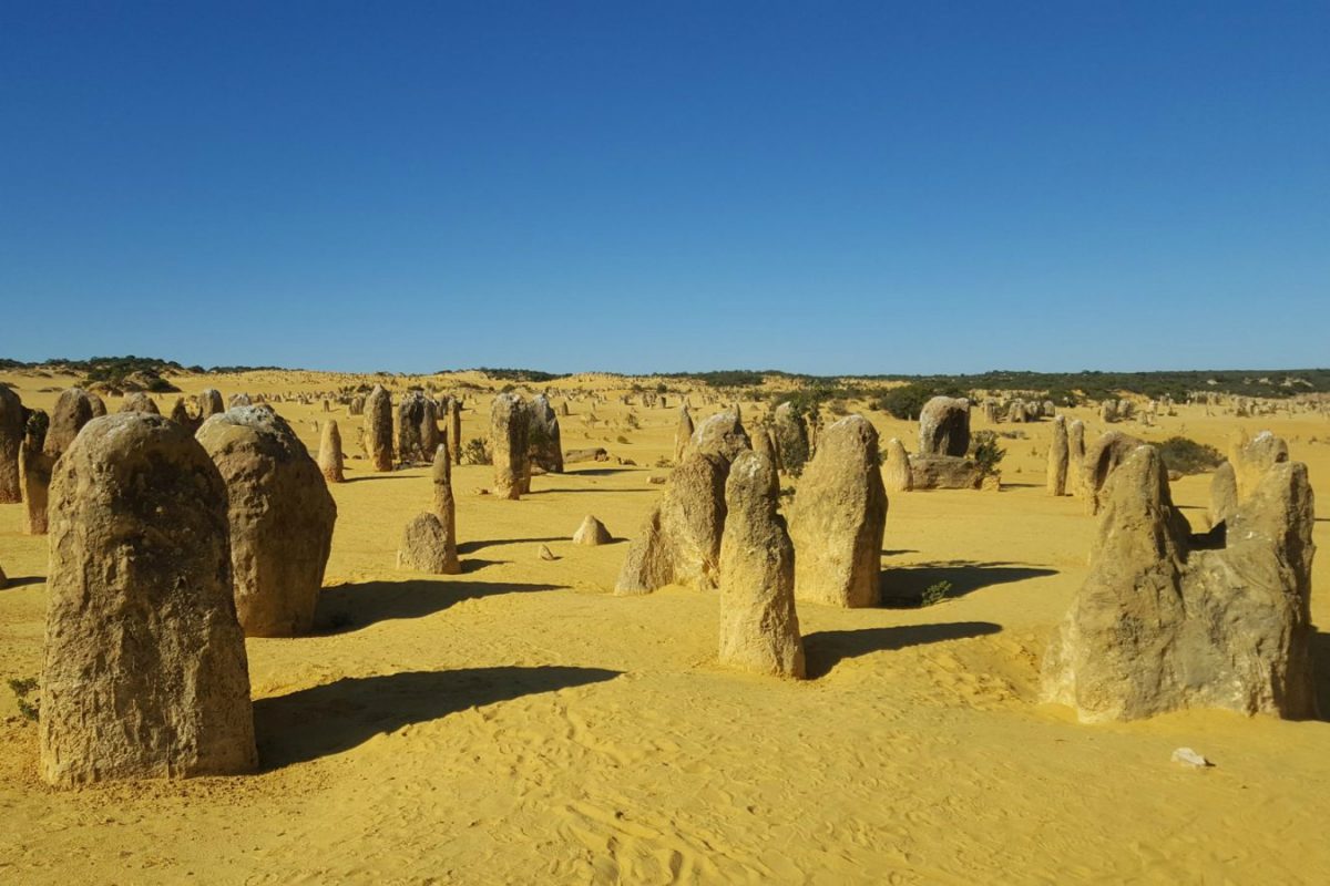 Article : Les Pinnacles et Jurien Bay, la nature &agrave; l&rsquo;&eacute;tat brut