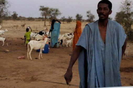 Article : De la crise alimentaire en Mauritanie au crime &eacute;cologique