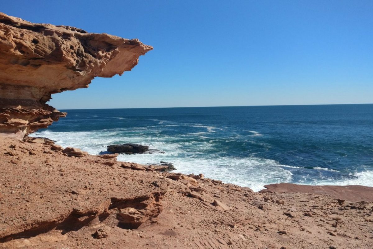 Article : Entre oc&eacute;an et d&eacute;sert, le paradoxe australien