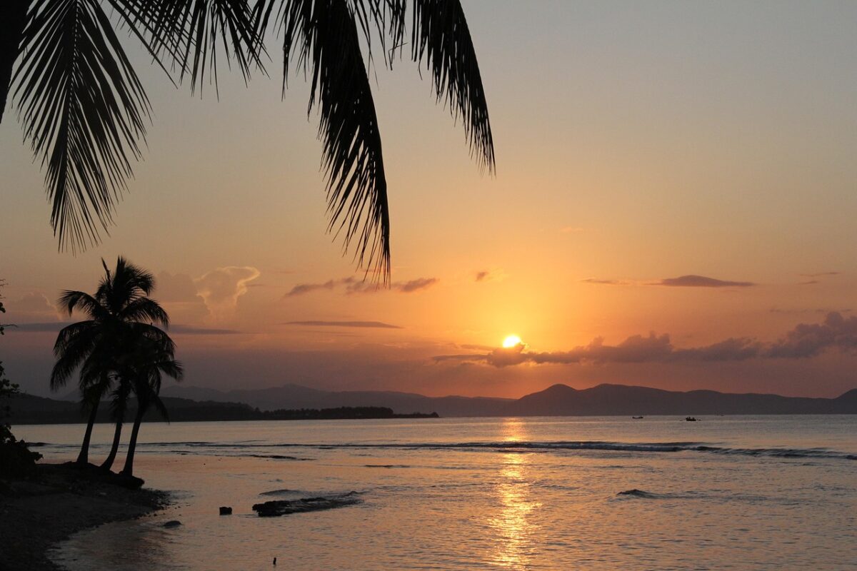 Article : Je r&ecirc;ve de plage et de soleil
