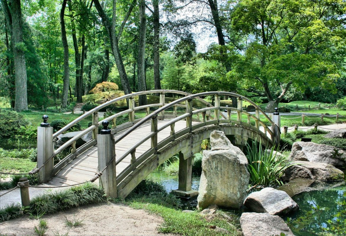 Article : Les p&eacute;pites de Mondoblog : des jardins magiques