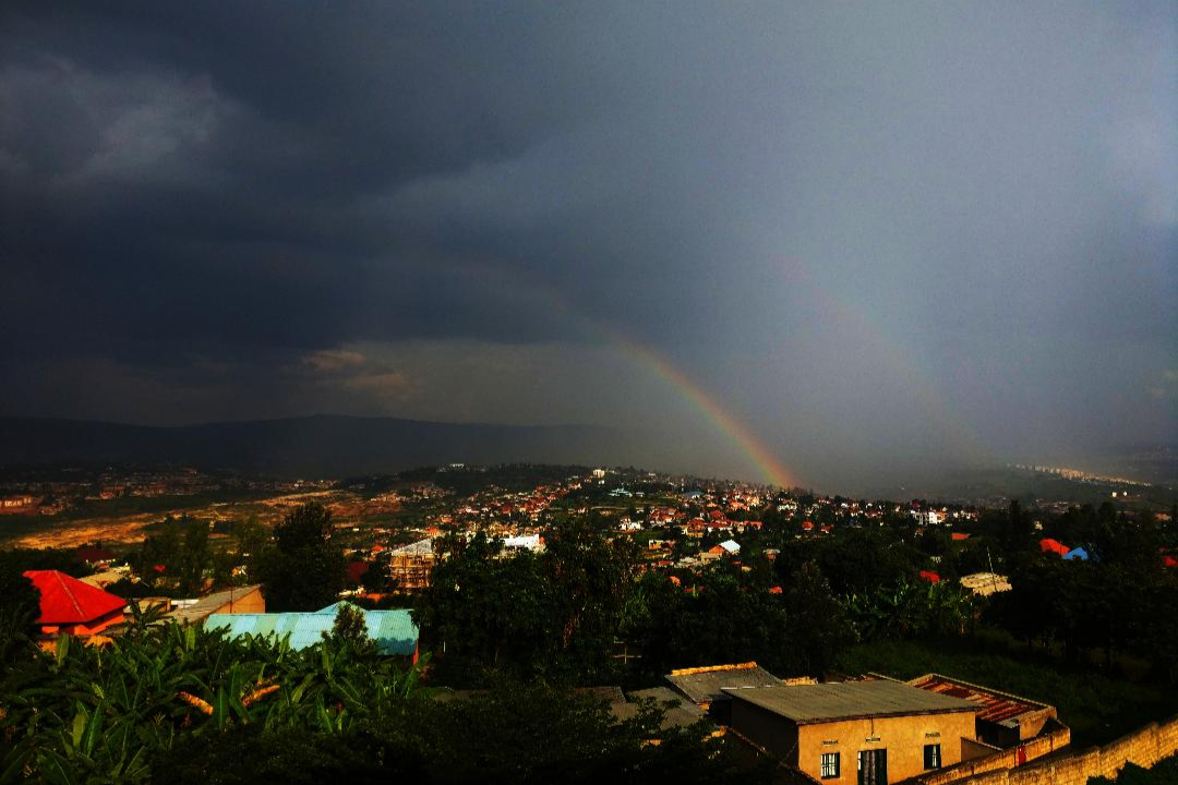 Article : Un arc-en-ciel avec un peu de na&iuml;vet&eacute; dans ce monde de brutes