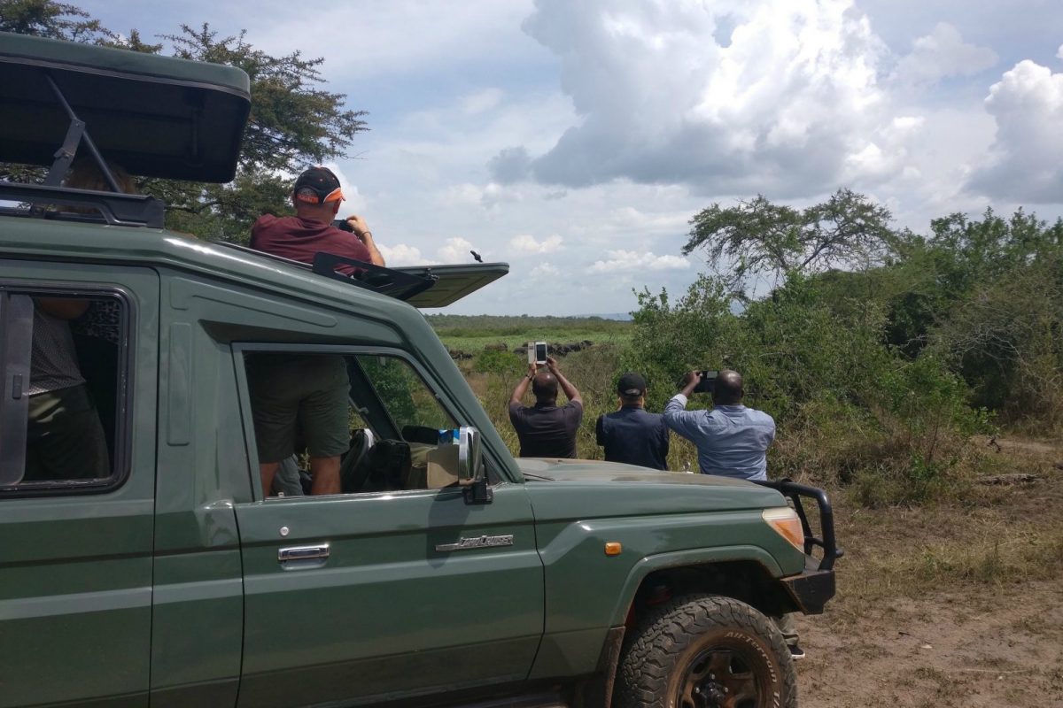 Article : Les touristes aux &eacute;l&eacute;phants