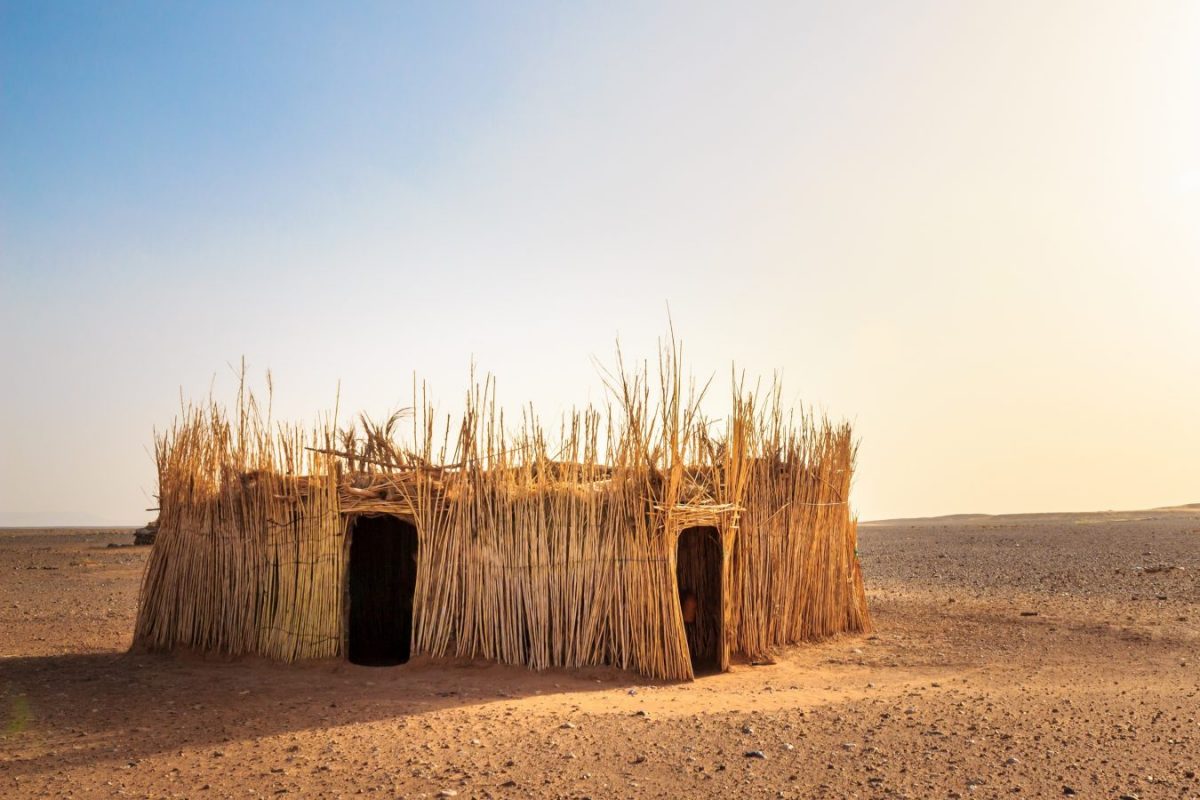 Article : Iwaria, un autre regard sur l&rsquo;Afrique en photo