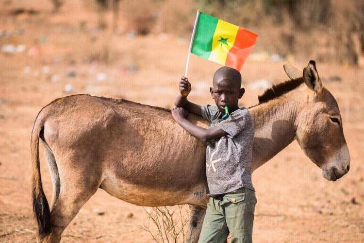 Article : CAN 2019 : Dakar se pr&eacute;pare et sera pr&ecirc;te