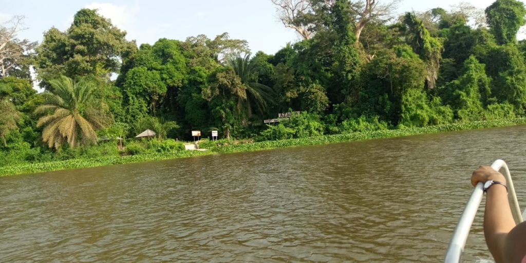 Article : &Eacute;cotourisme : &Agrave; la d&eacute;couverte du parc national d&rsquo;Azagny, en C&ocirc;te d&rsquo;Ivoire