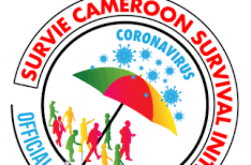 Article : Comment les partis politiques camerounais exploitent le coronavirus pour accroitre leur popularit&eacute;