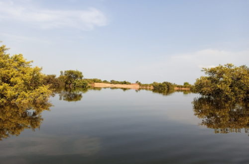 Article : Tchad : &agrave; cause des inondations, N&rsquo;Djam&eacute;na traverse des moments difficiles