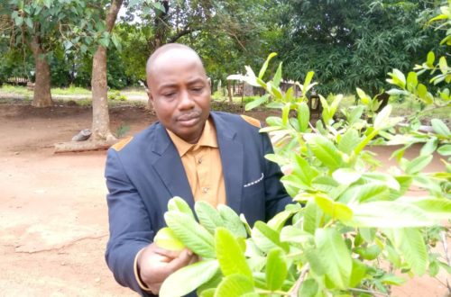 Article : Ernest Agbota, premier prix d&rsquo;Africa 21 sur l&rsquo;environnement