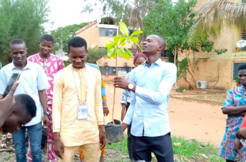 Article : 1er Juin Journ&eacute;e de l&rsquo;arbre, Radio Univers sacrifie &agrave; la tradition