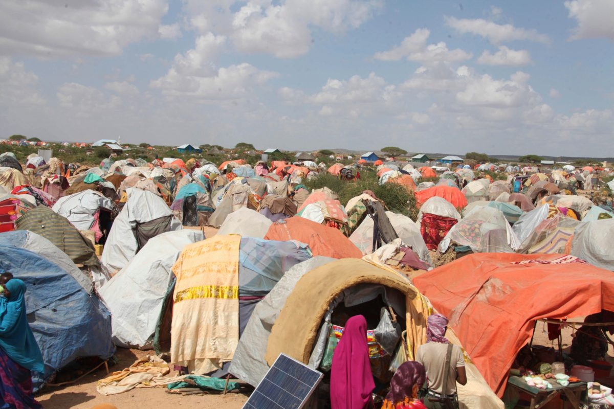 Article : Dans la peau d&rsquo;un migrant (Suite)