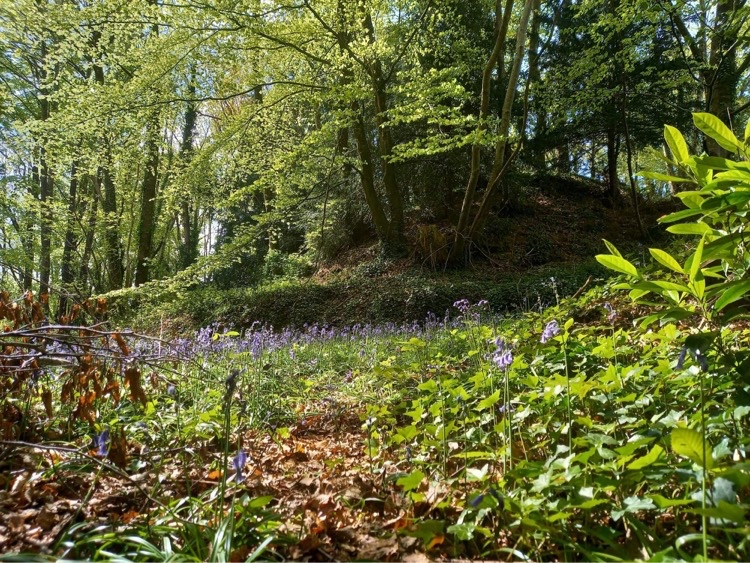 Article : Motten Morvan : arch&eacute;ologie mon amour