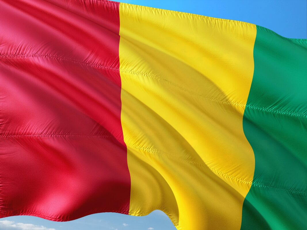 Article : Transition en Guin&eacute;e : Besoin de transparence et de clarification sur les ambitions du Comit&eacute; national de rassemblement pour le d&eacute;veloppement (CNRD)