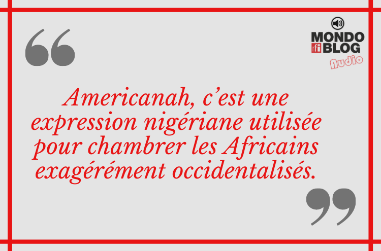 Article : Americanah : mise en lumi&egrave;re d'un parcours migratoire