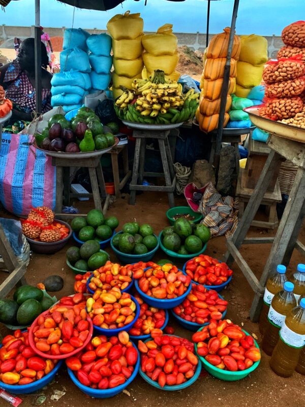 Article : La Mauritanie pr&eacute;pare son premier forum national sur la nutrition et l&rsquo;alimentation