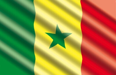 Article : CAN 2022&nbsp;: les Lions ont gagn&eacute;&hellip;