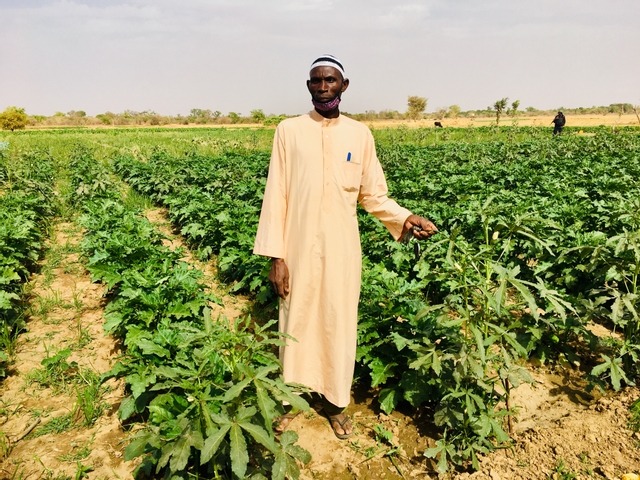 Article : Mauritanie : la Maison Familiale Rurale de Ka&eacute;di organise quatre sessions de formation dans le domaine de l&rsquo;agriculture
