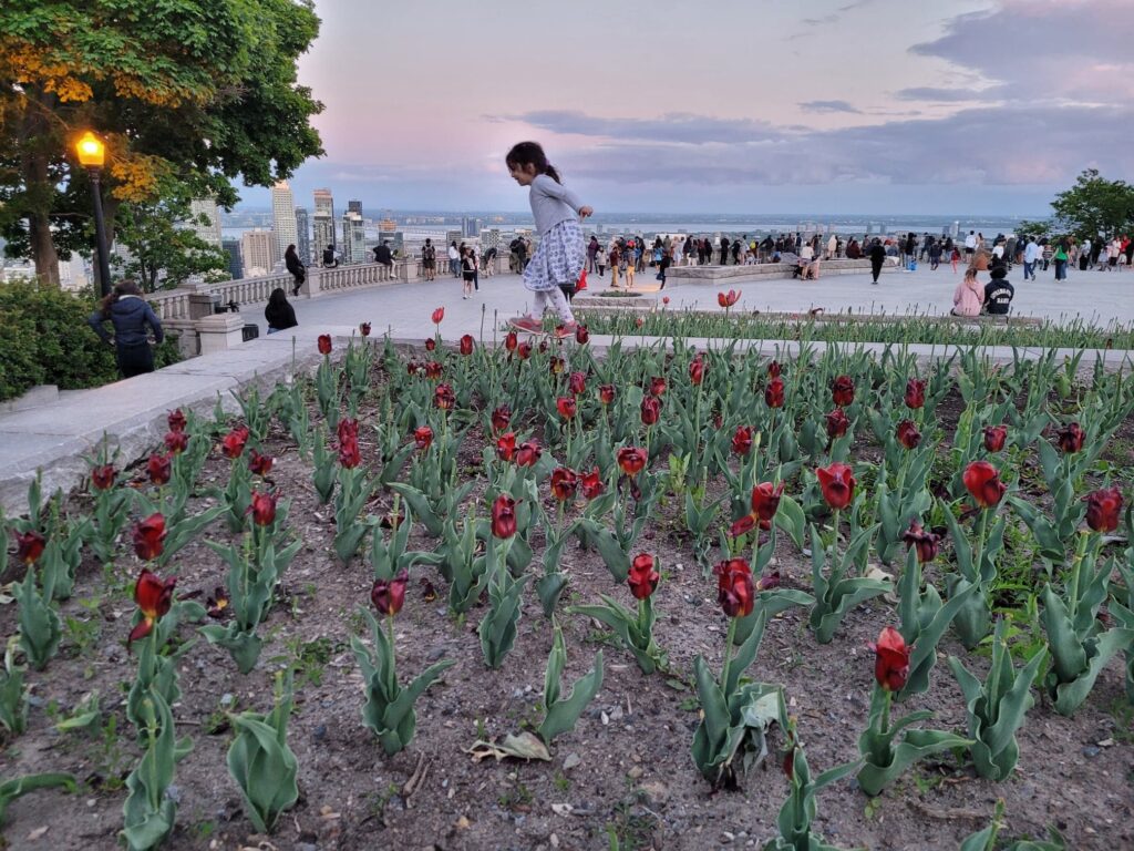 Article : Une visite guid&eacute;e au c&oelig;ur des merveilles de Montr&eacute;al, &ccedil;a vous tente ?