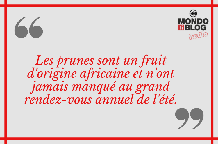Article : Cameroun : les prunes, ces d&eacute;licieux fruits stars de vacances
