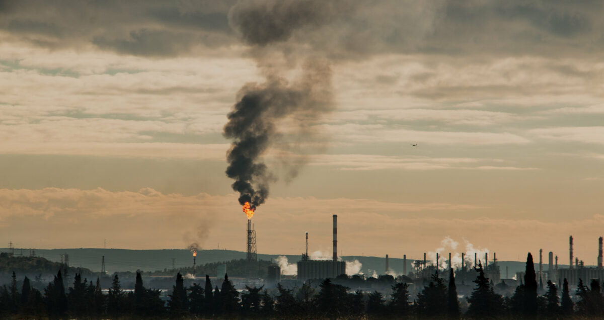 Article : Exploitation p&eacute;troli&egrave;re en pleine for&ecirc;t congolaise