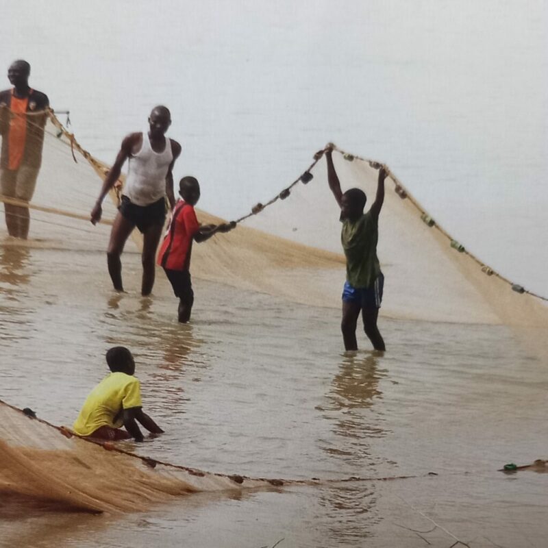 Article : Bassin du Lac Tchad: une merveille du Sahel.