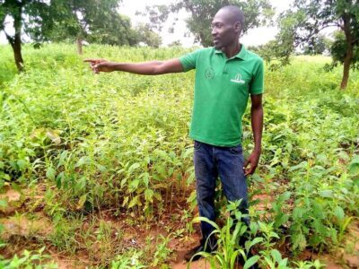Article : Parfait Djimnad&eacute;, un jeune tchadien pionnier de l&rsquo;agrobusiness