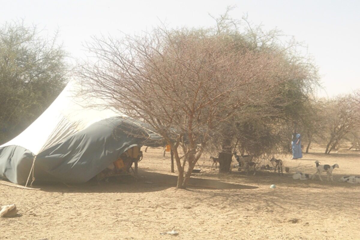 Article : LES FEMMES NOMADES DE MAURITANIE : Des milliers de laiss&eacute;es pour compte dans l&rsquo;acc&egrave;s aux services de sant&eacute; sexuelle reproductive et &agrave; la contraception