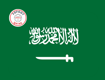 Article : Qatar City&nbsp;: Les Faucons Verts de l&rsquo;Arabie Saoudite
