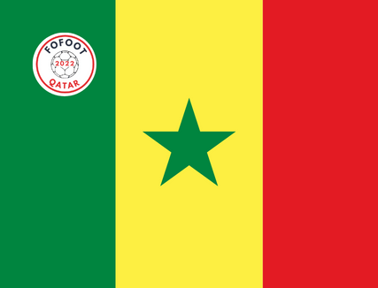 Article : Qatar City&nbsp;: Les Lions du S&eacute;n&eacute;gal