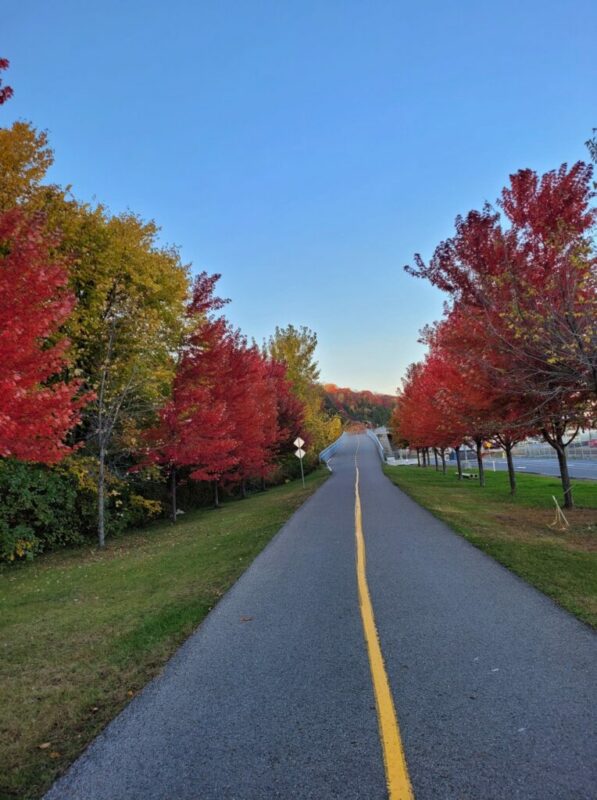 Article : Canada : Moi, dame nature, les plaines d&rsquo;Abraham et l&rsquo;escalier du Cap-blanc