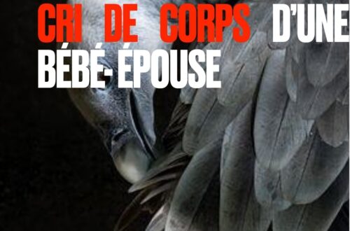 Article : Extraits de &laquo;&nbsp;Rama, cri de corps d&rsquo;une b&eacute;b&eacute;-&eacute;pouse&nbsp;&raquo;
