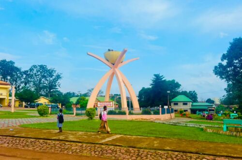 Article : Guin&eacute;e : les mots pour gu&eacute;rir des maux &agrave; N&rsquo;z&eacute;r&eacute;kor&eacute;