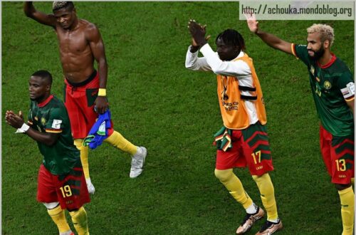 Article : Je demande pardon aux Lions indomptables&hellip;