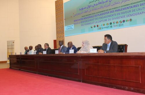 Article : Plaider pour les femmes et les filles du Sahel, le r&ocirc;le des parlementaires des pays SWEDD au centre de la rencontre de Nouakchott
