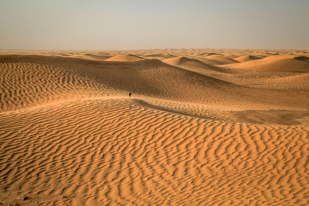 Article : Voix du Sahara, flashback sur une programmation engag&eacute;e