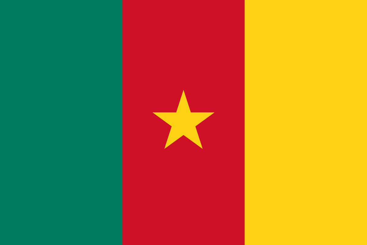 Article : Cameroun Vs Br&eacute;sil : Coaching os&eacute;, coaching gagnant.