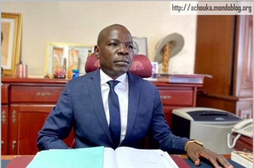Article : Pourquoi les Camerounais d&eacute;testent Amougou Belinga&nbsp;?