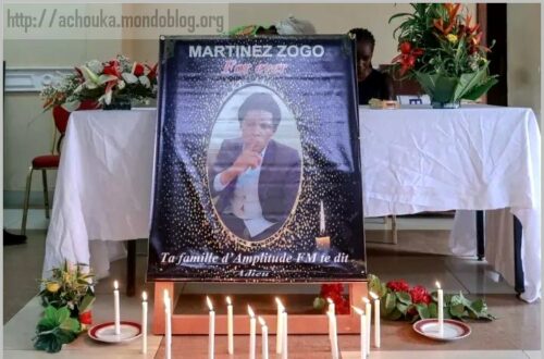 Article : L&rsquo;affaire Martinez Zogo, une s&eacute;rie Netflix&nbsp;!
