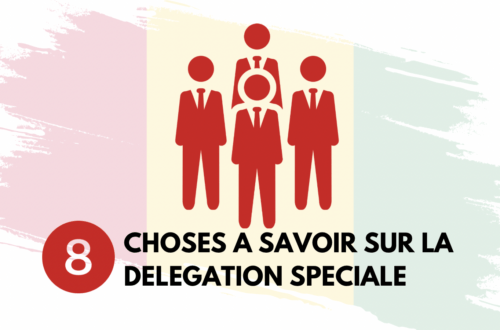 Article : Guin&eacute;e : 8 choses &agrave; savoir sur la d&eacute;l&eacute;gation sp&eacute;ciale