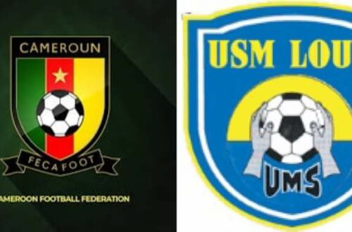 Article : La Fecafoot, le championnat et les &oelig;ufs d&rsquo;or&hellip;
